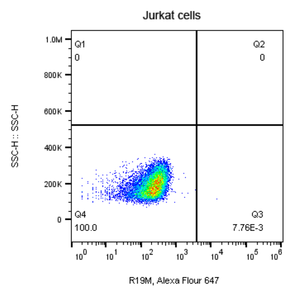 (Cat. No. 200100) Rabbit Anti-Mouse FMC63 scFv Monoclonal Antibody, 100 tests