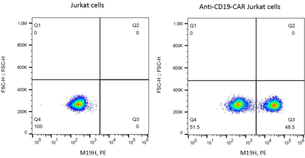 (Cat. No. 300413) Mouse Anti-Mouse FMC63 scFv Monoclonal Antibody, Biotin, 25 tests