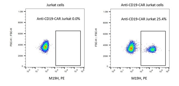 (Cat. No. 300406) Mouse Anti-Mouse FMC63 scFv Monoclonal Antibody, PE, 100 tests