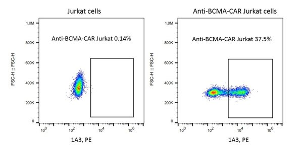 (Cat. No. 200706) Rabbit Anti Mouse C11D5.3 scFv Monoclonal Antibody , PE, 100 tests