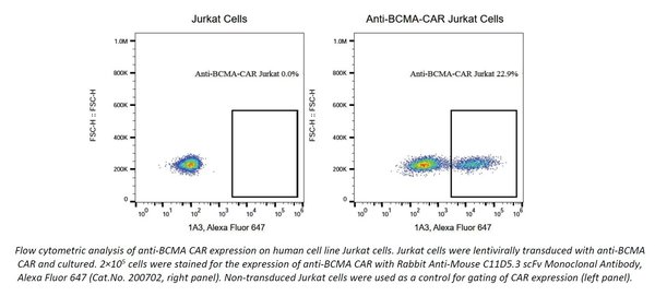 (Cat. No. 200702) Rabbit Anti-Mouse C11D5.3 scFv Monoclonal Antibody, Alexa Fluor 647, 100 tests