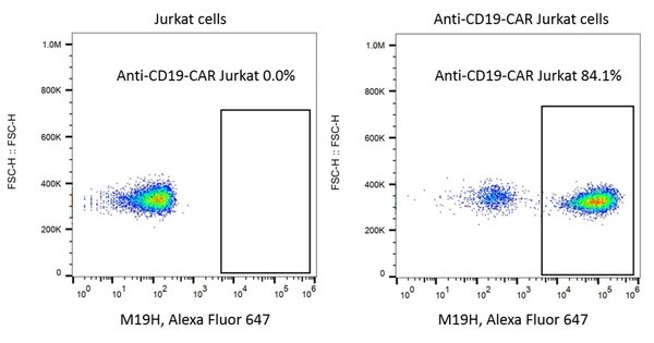 (Cat. No. 300401) Mouse Anti-Mouse FMC63 scFv Monoclonal Antibody, Alexa Fluor 647, 25 tests