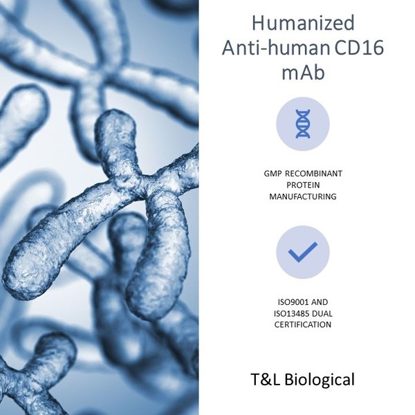 (Cat. No.  TL-201) Anti-human CD16 mAb, 500μg