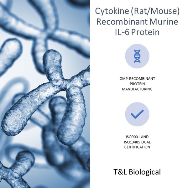 (Cat. No. TL-652) Recombinant Murine IL-6 Protein, 100μg