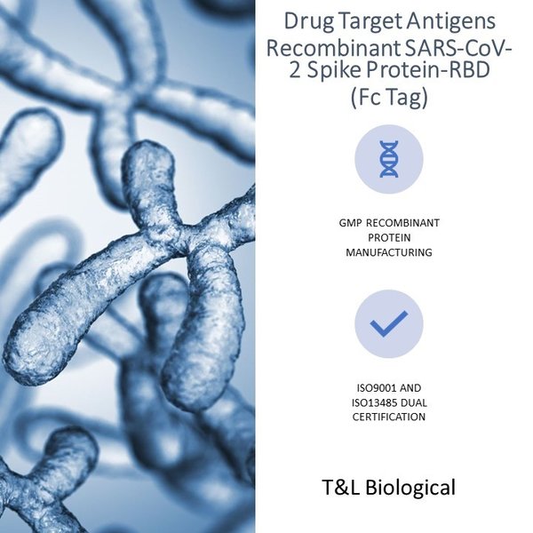 (Cat. No. TL-762) Recombinant SARS-CoV-2 Spike Protein-RBD (Fc Tag), 100μg
