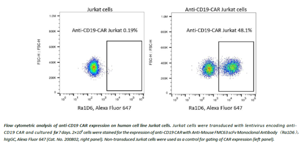 (Cat. No. 200802) Anti-Mouse FMC63 scFv Monoclonal Antibody (Ra1D6), hIgGC, Alexa Fluor 647