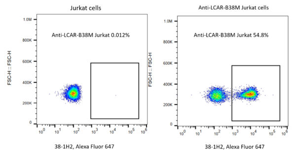 (Cat. No. 212002) Rabbit Anti-LCAR-B38M Monoclonal Antibody, Alexa Fluor 647, 100 tests